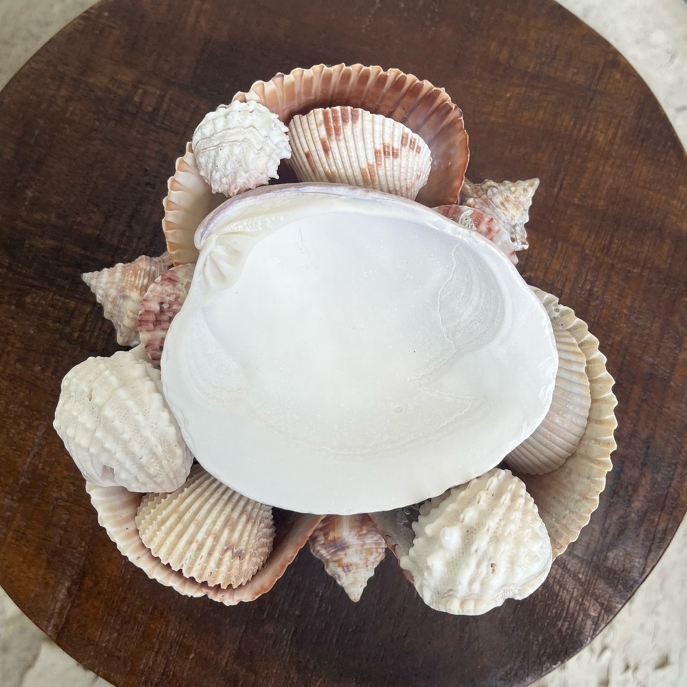 Handmade Shell Bowl